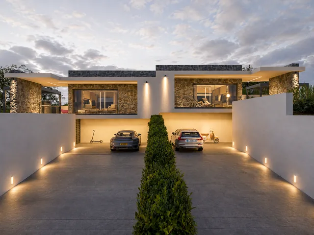 Domus Niu
